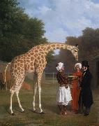 Jacques-Laurent Agasse The Nuian Giraffe (mk25) oil painting on canvas